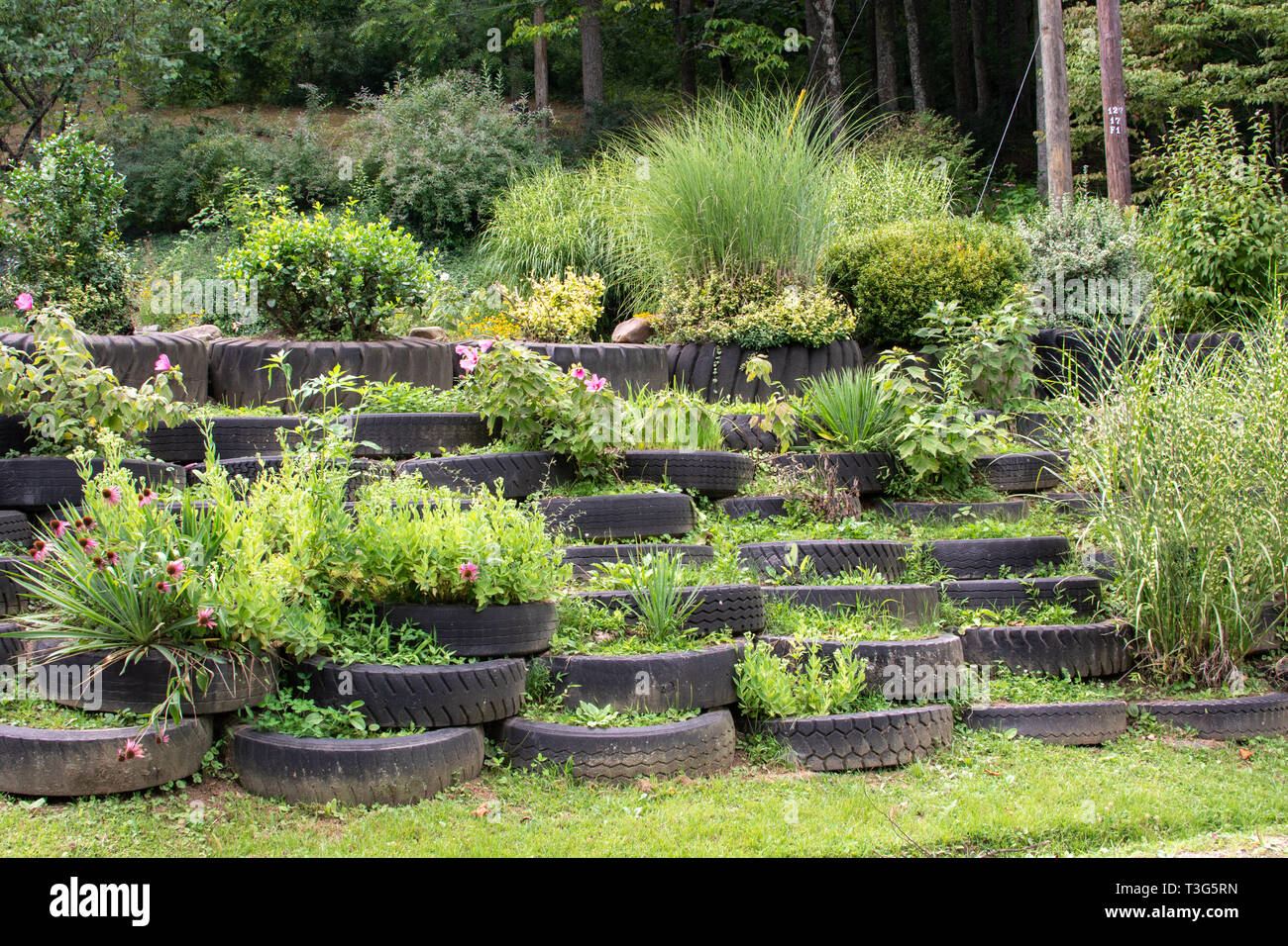 Autostrada 116 è una curva strada di montagna che passa storiche chiese, scuole, & country memorizza in un'Appalachian zona precedentemente noto per le miniere di carbone. Foto Stock