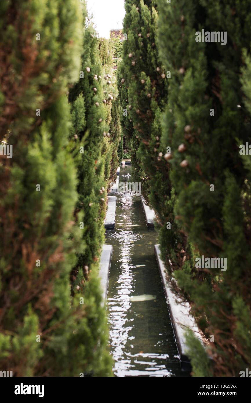 Un canale di acqua taglia attraverso un supporto di alberi di conifere in Kensington Roof Garden di Londra nel 2015. Foto Stock