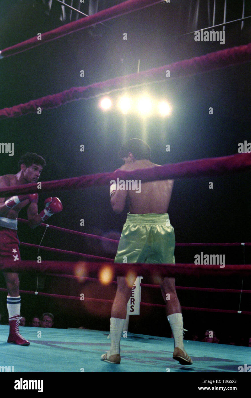 Mondo campione leggero poco Stevie Cruz nell incontro di pugilato contro Antonio Esparragoza Marzo 6, 1987 a Will Rogers Coliseum in Ft. Vale la pena, Texas Foto Stock