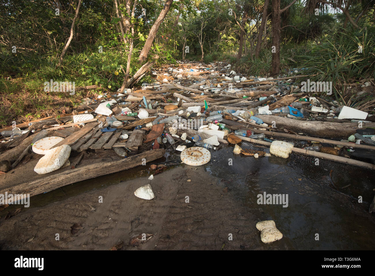 Inquinamento del fiume Foto Stock