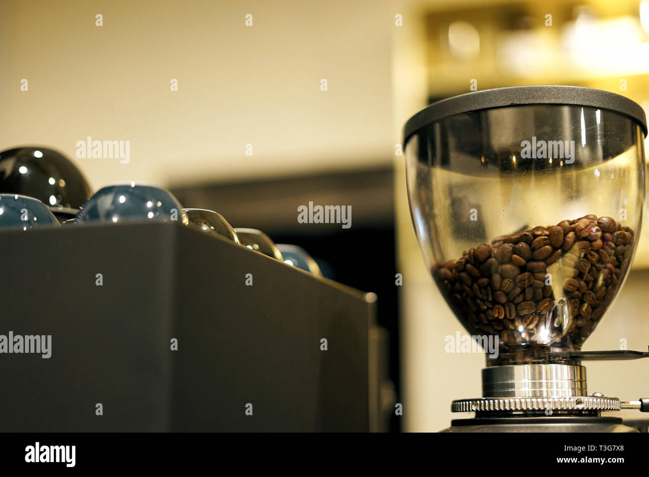 I chicchi di caffè all'interno della macina caffè presso la caffetteria Foto Stock