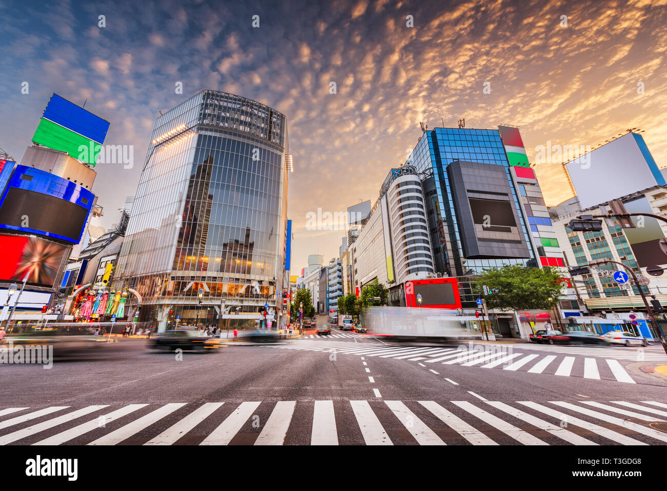 Tokyo, Giappone al famoso incrocio di Shibuya all'alba. Foto Stock