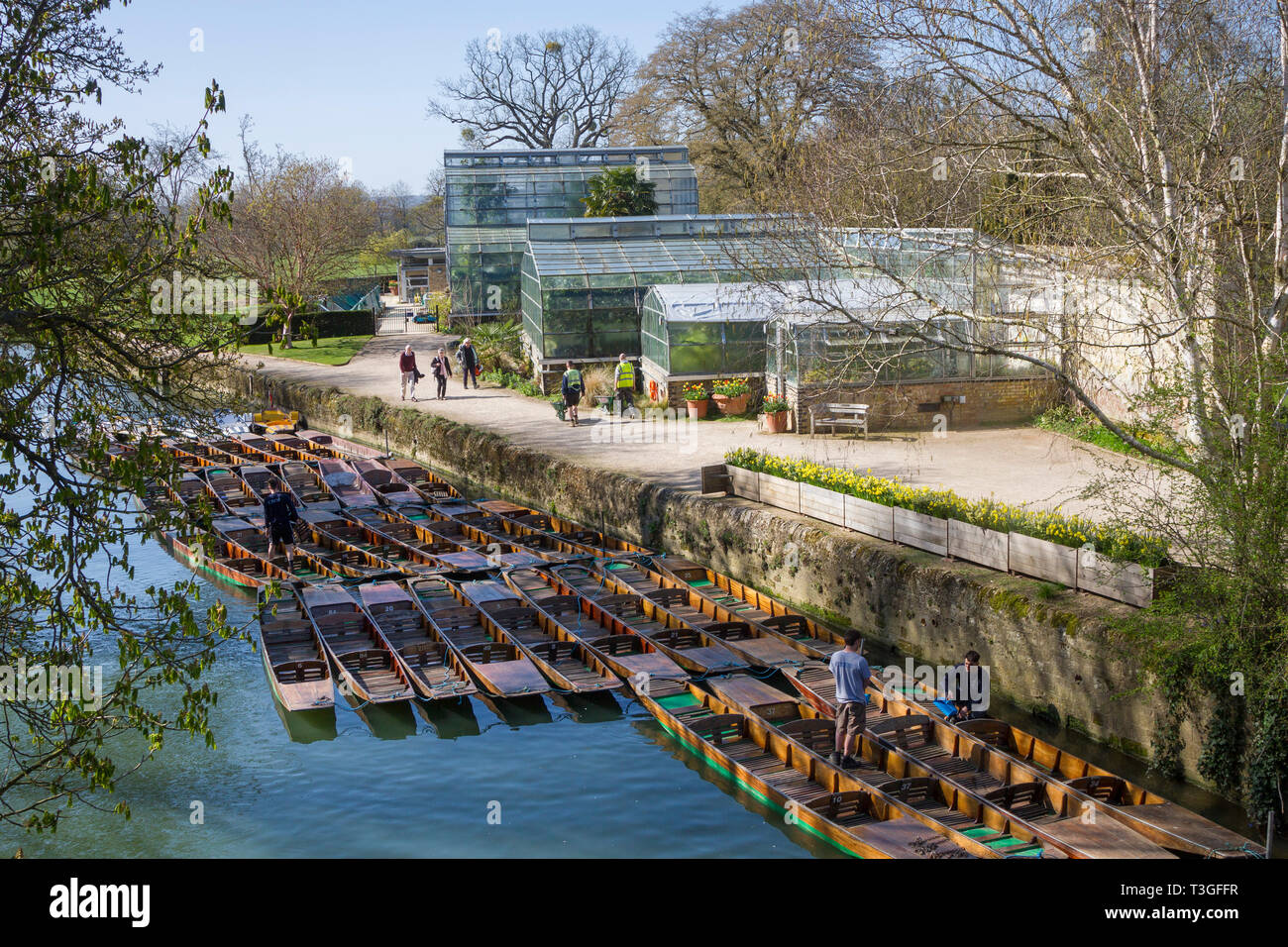 Oxford Botanic Gardens in primavera con i tradizionali sterline sul fiume Cherwell Foto Stock