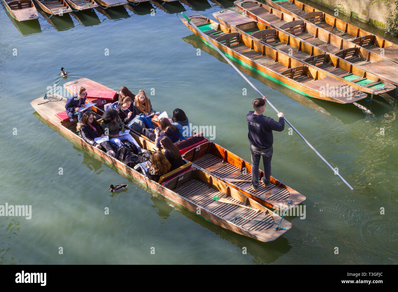 Un gruppo di ragazze della scuola sono presi in due tradizionali Oxford sterline sul fiume Cherwell Foto Stock