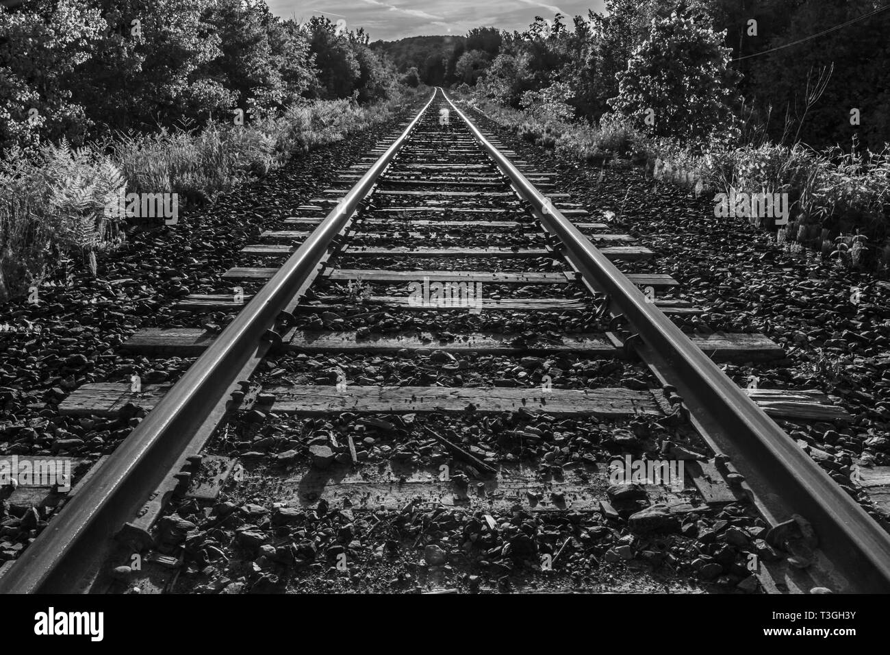 Immagine monocromatica del treno le vie che conducono verso la fine della linea Foto Stock