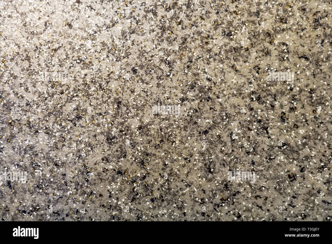 Abstract background. Grigio a pavimento di cemento con pietra bianca di chip. Superficie levigata liscia. Foto Stock