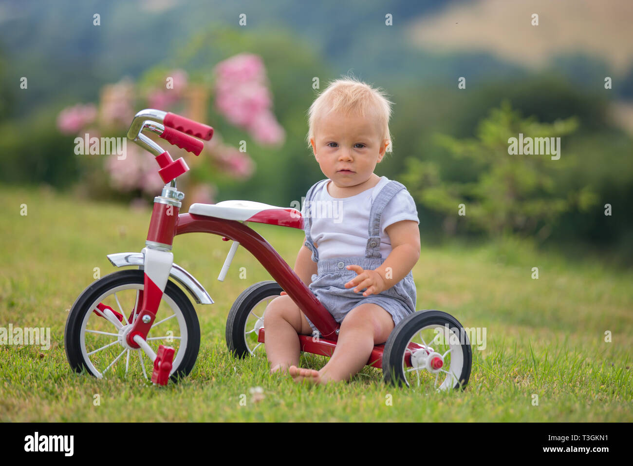 Carino il toddler bambino, ragazzo, giocando con il triciclo in cortile, kid Bicicletta Equitazione Foto Stock