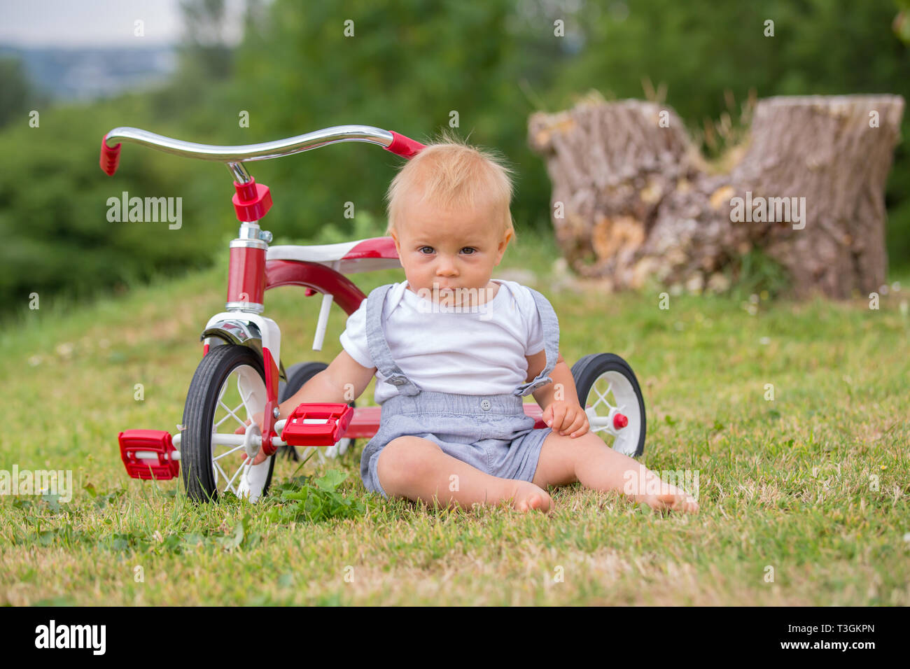 Carino il toddler bambino, ragazzo, giocando con il triciclo in cortile, kid Bicicletta Equitazione Foto Stock