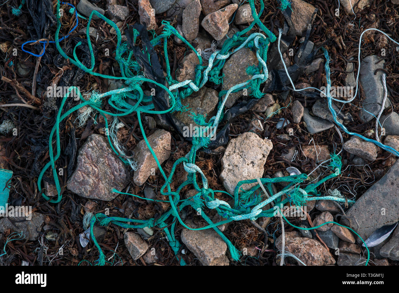 Spiaggia lettiera; Shetland; Regno Unito Foto Stock