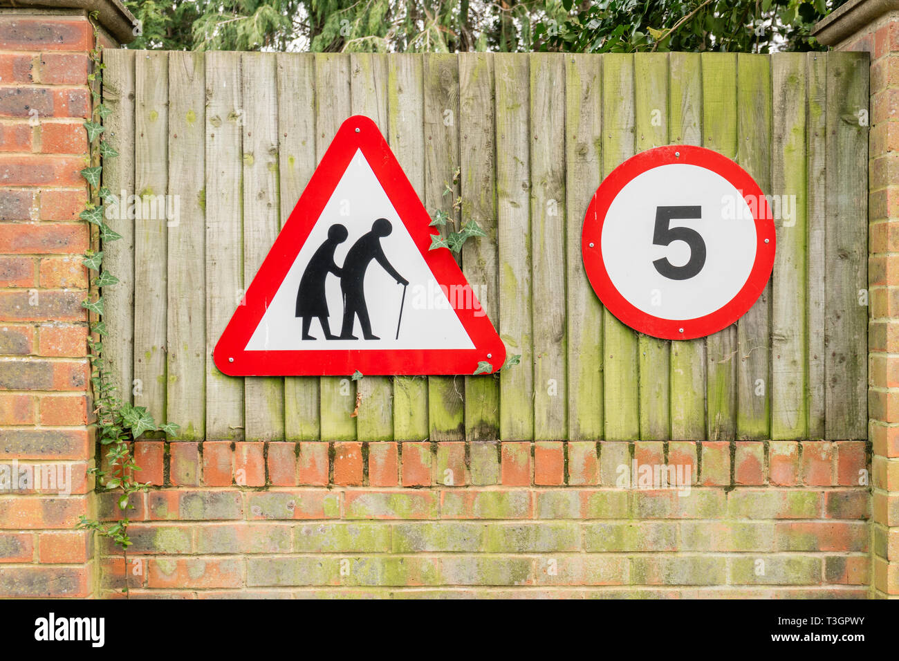 Le persone anziane e 5mph segnaletica stradale, England, Regno Unito Foto Stock
