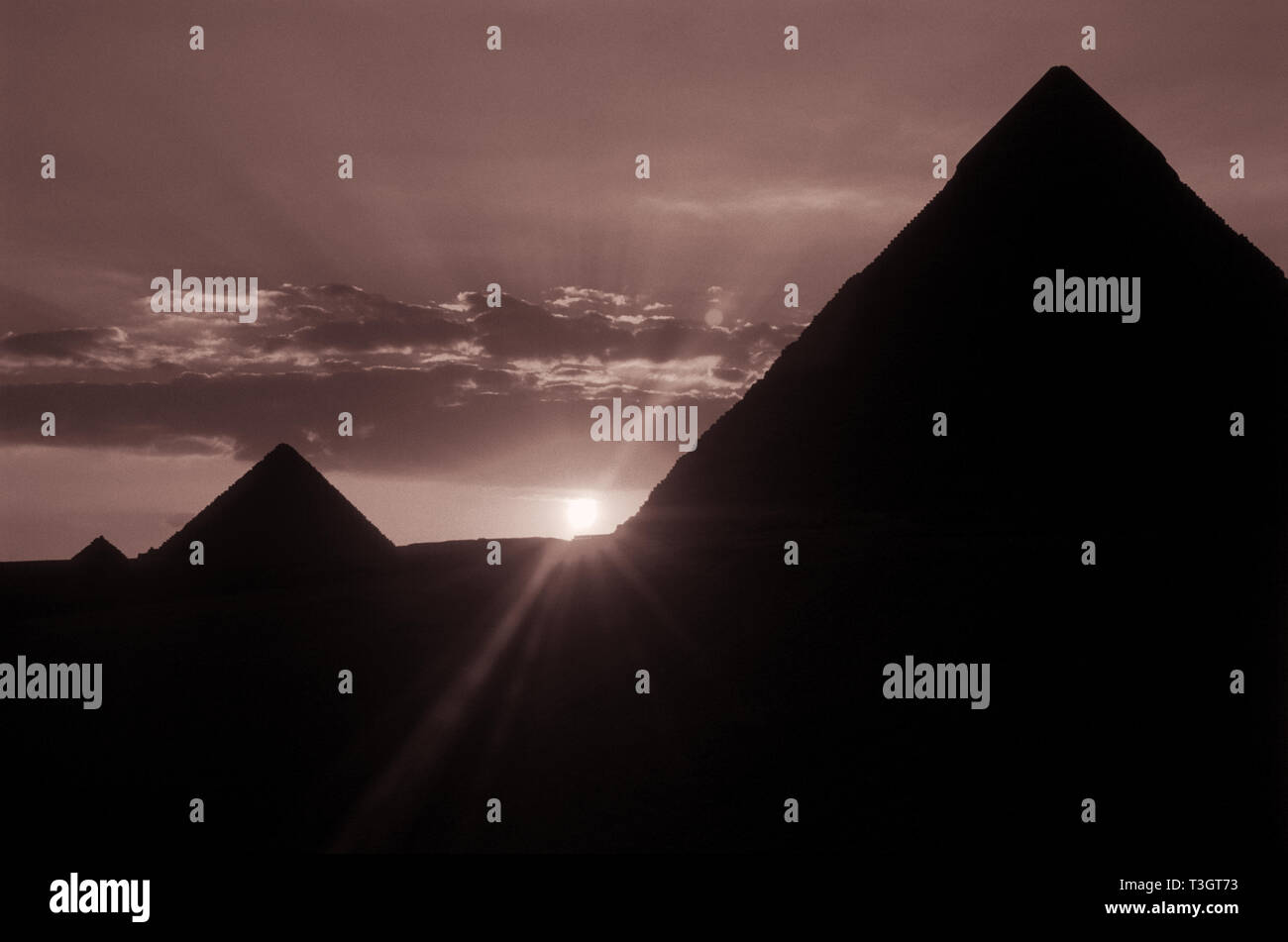 Le piramidi di Giza in Egitto. Foto Stock