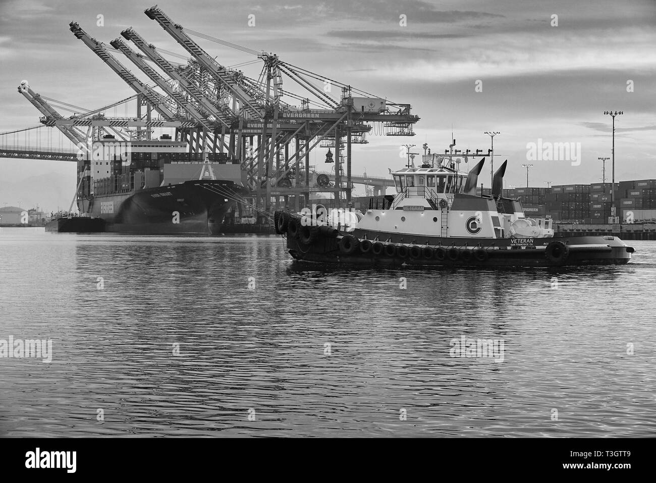 Primo piano in bianco e nero foto del VETERANO DEL Tugboat che passa davanti alla nave portacontainer, SEMPRE INTELLIGENTE, carico e scarico nel porto di Los Angeles Foto Stock