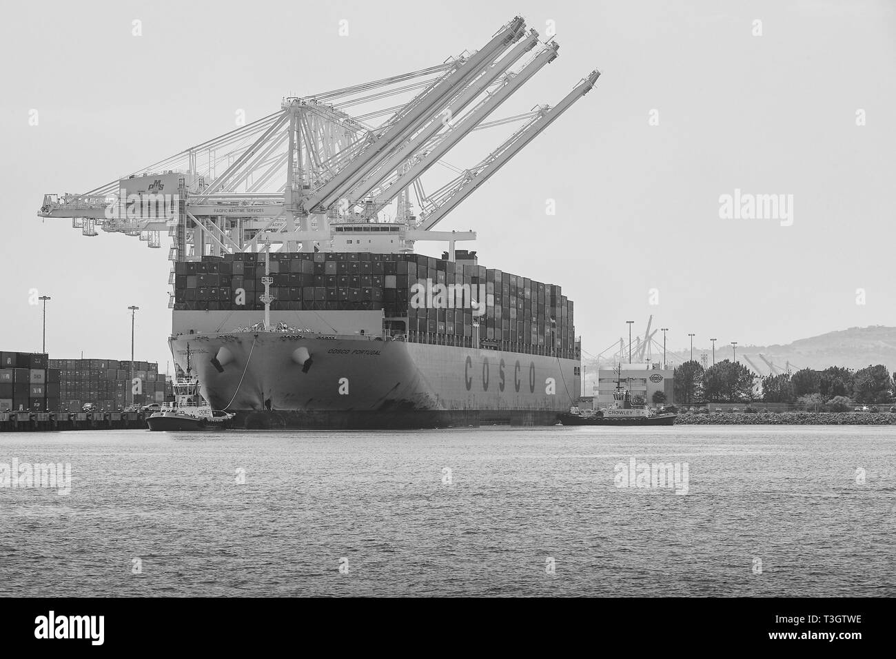 Foto in bianco e nero del gigante COSCO Container di spedizione Nave, COSCO PORTOGALLO, arrivando nella lunga spiaggia di terminal per container, California, Stati Uniti d'America. Foto Stock