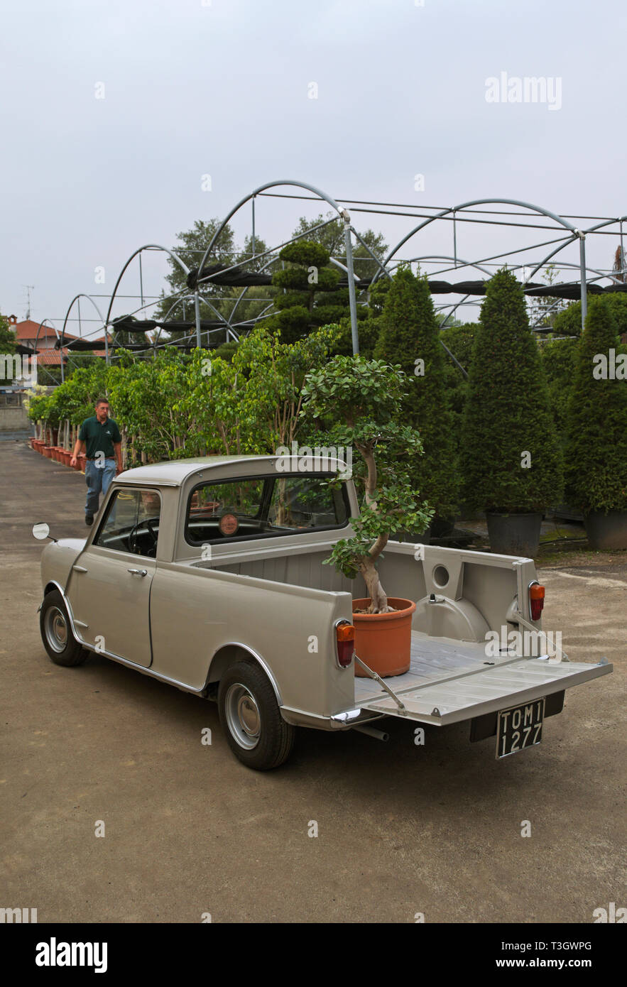 Impianto caricato su un veicolo d'epoca Morris al centro del giardino Foto Stock