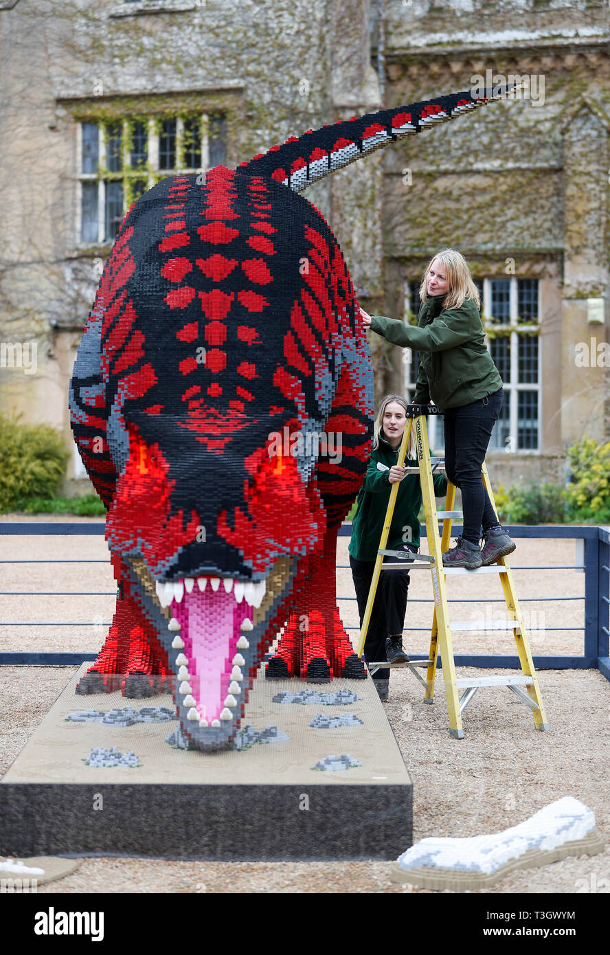 Nicky Cole da Marwell Zoo ispeziona un otto metri di Tyrannosaurus rex fatta di Lego, come si va su display a Marwell Zoo, facente parte della loro BRICKOSAURS! Mostra, che è in funzione dal 5 aprile fino al 1 settembre. Foto Stock