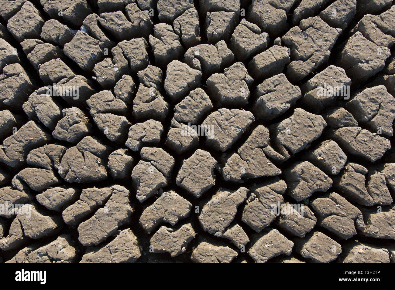 Configurazione astratta di estratto secco di argilla incrinato il fango essiccato fino al lago letto / riverbed causato da una prolungata siccità in estate in clima caldo temperature Foto Stock