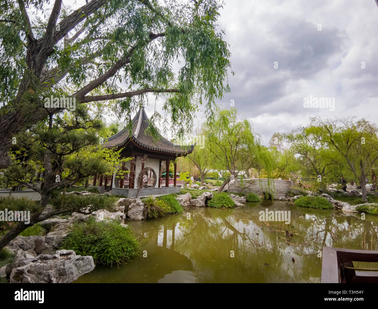 Los Angeles, APR 5: Il bellissimo giardino cinese della Biblioteca di Huntington il Apr 5, 2019 a Los Angeles in California Foto Stock