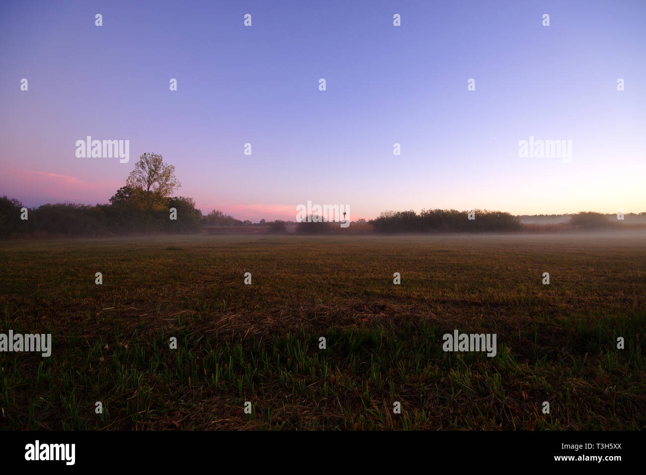Sunrise su un campo con il paesaggio di nebbia Foto Stock