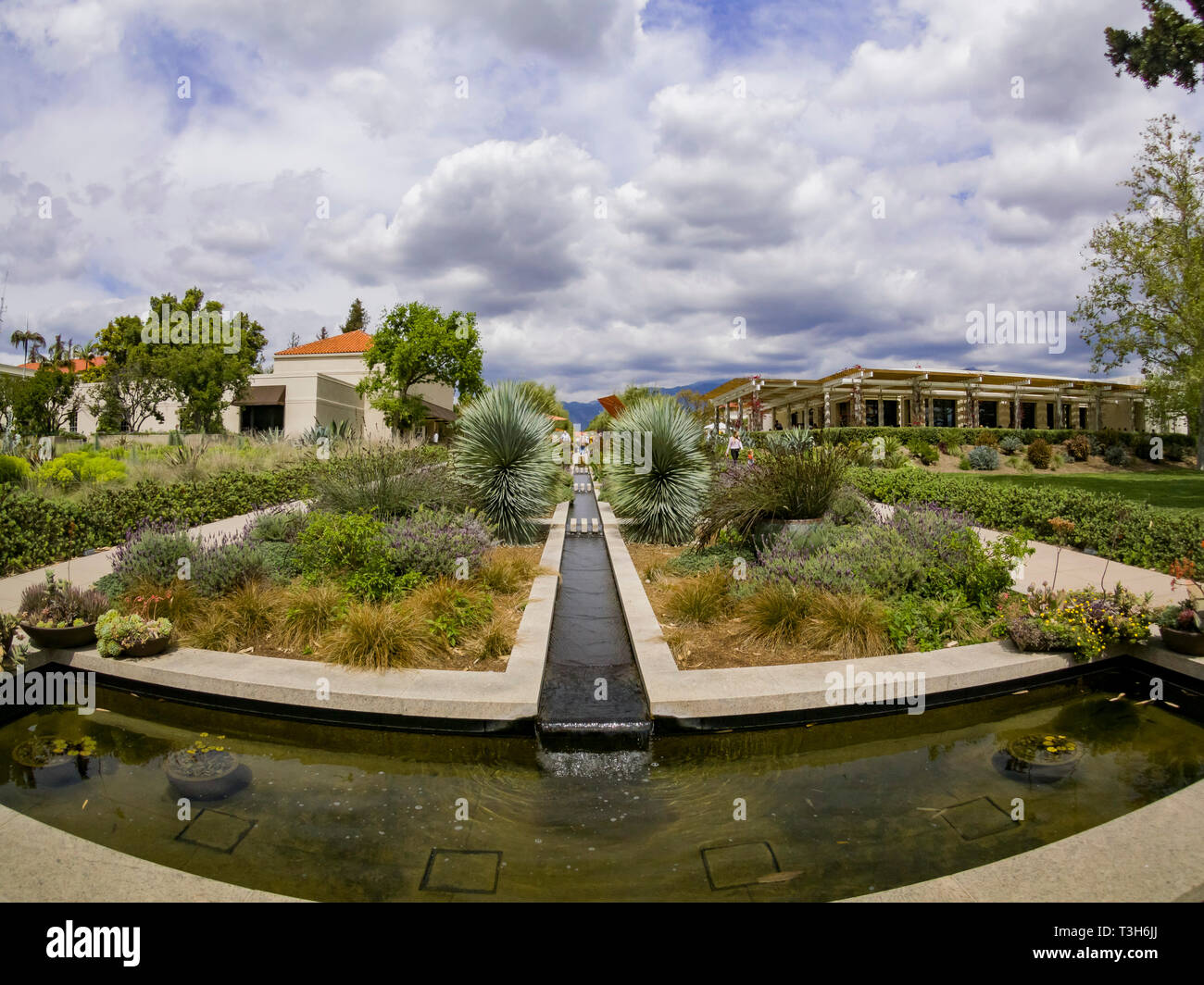 Scena naturale intorno a Huntington Library a Los Angeles in California Foto Stock