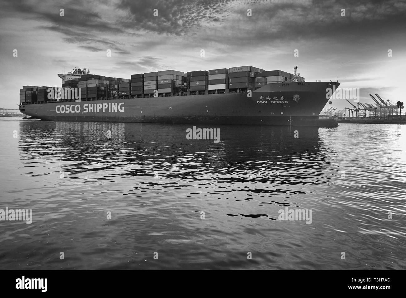 Foto Moody in bianco e nero della nave container COSCO, CSCL SPRING, in partenza dal porto di Los Angeles, California, USA. Foto Stock