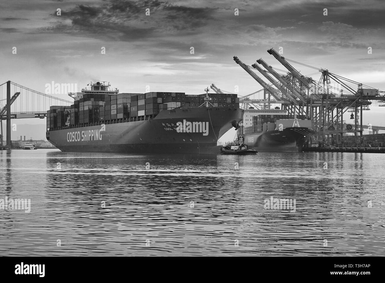 Foto in bianco e nero della SPEDIZIONE COSCO in partenza, CSCL SPRING-L e della nave container Evergreen, SEMPRE SMART-R, nel porto di Los Angeles, Stati Uniti Foto Stock