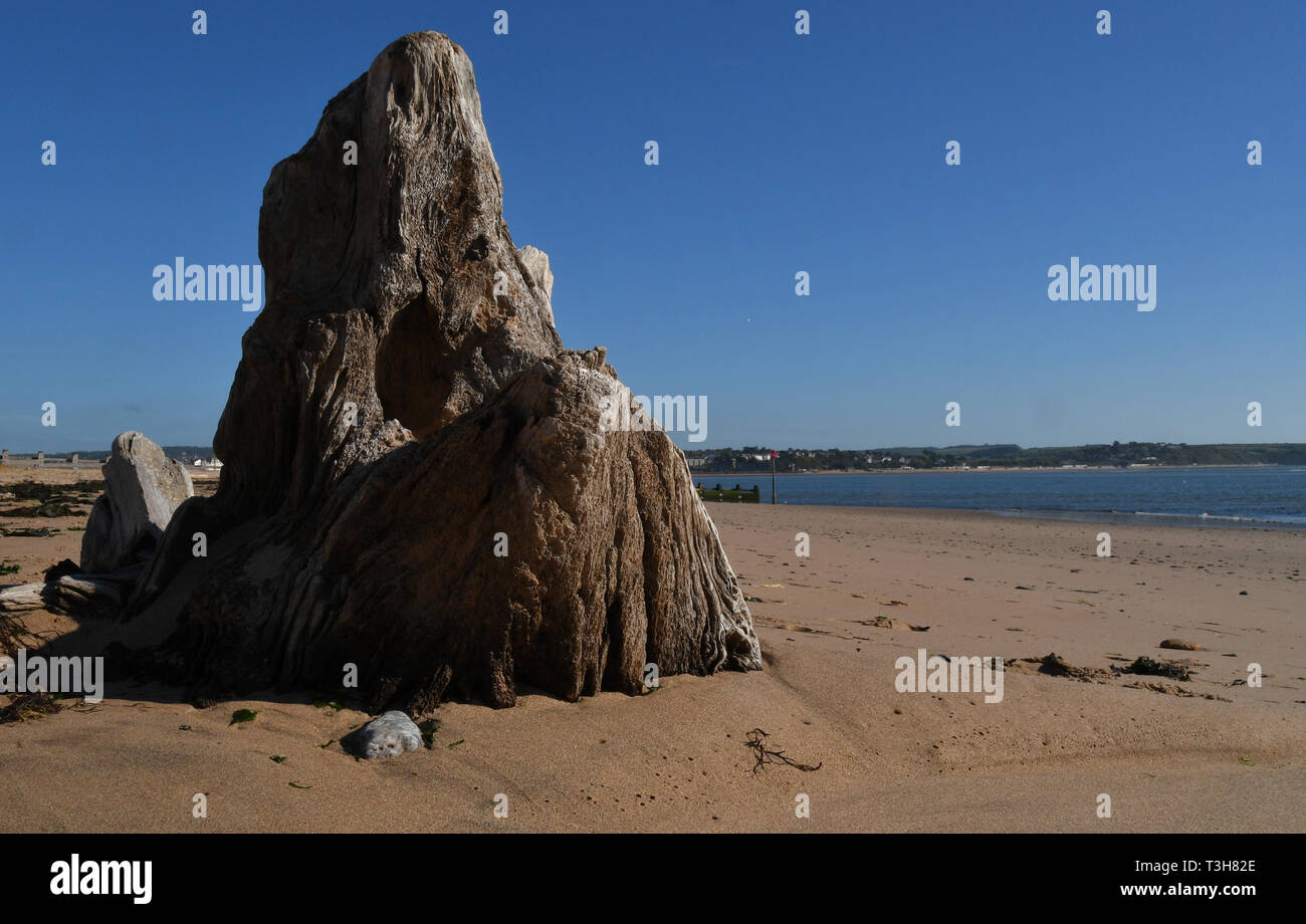 Il mare ha eroso driftwood struttura sulla spiaggia a Dawlish Warren, Devon, Inghilterra. Regno Unito Foto Stock