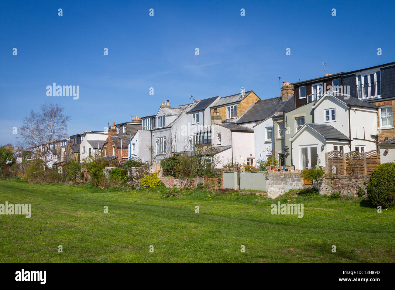 Back giardini di case a schiera a Hinksey, Oxford Foto Stock