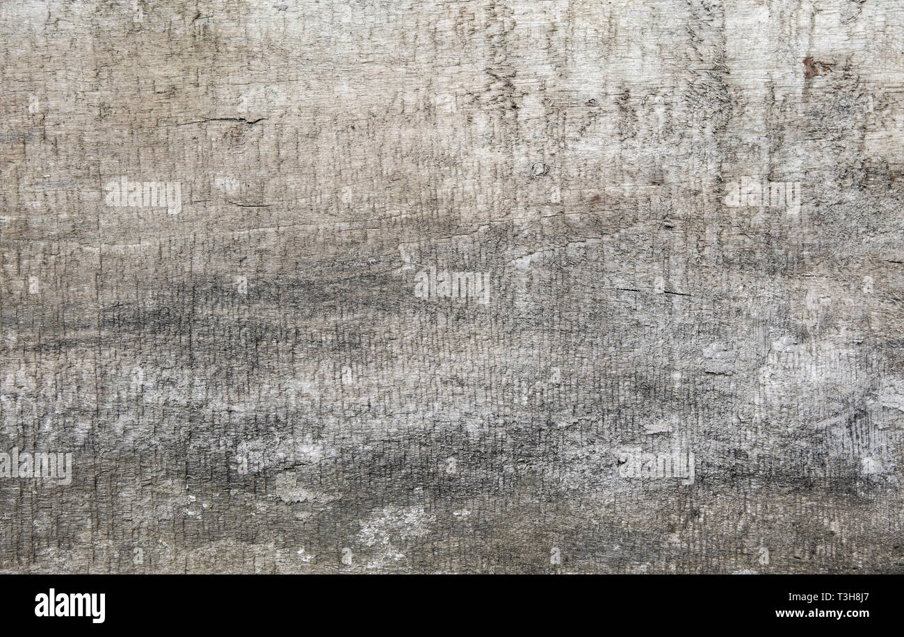 Grunge texture di legno. Modello di vecchio alterò la parete in legno Foto Stock