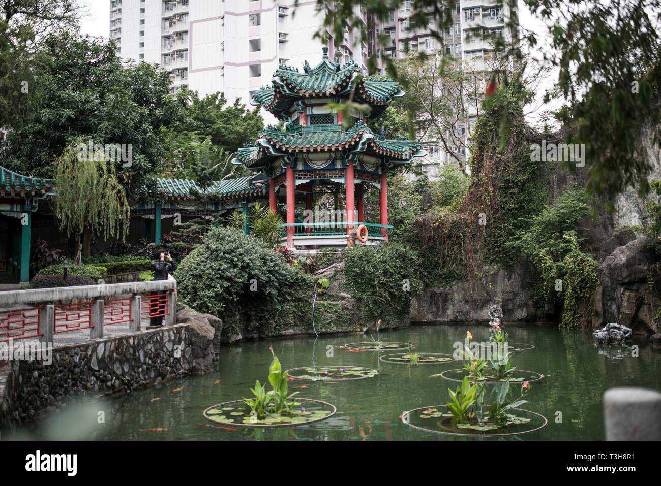 HONG KONG CINA 25 dic. Vista di un giardino cinese nel cuore di Hong Kong Foto Stock