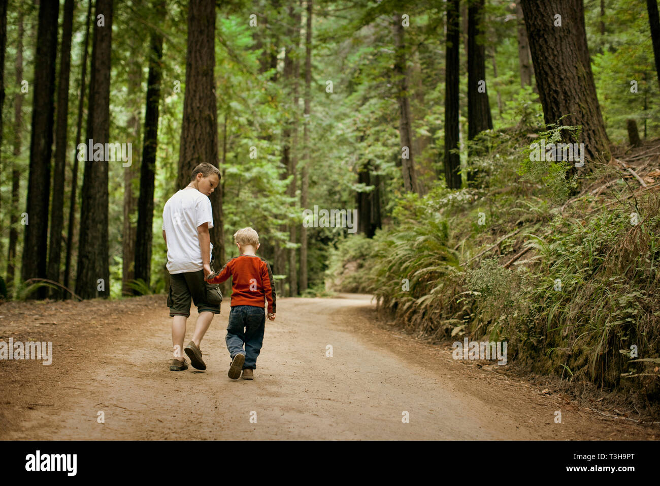 Due fratelli camminando mano nella mano attraverso una foresta. Foto Stock