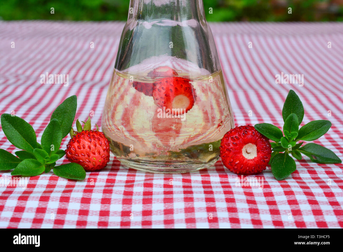 Home acquavite aromatizzata con fresche fragole selvatiche e timo selvatico in un bicchiere piccolo su rosso e bianco tovaglia, vista ravvicinata Foto Stock
