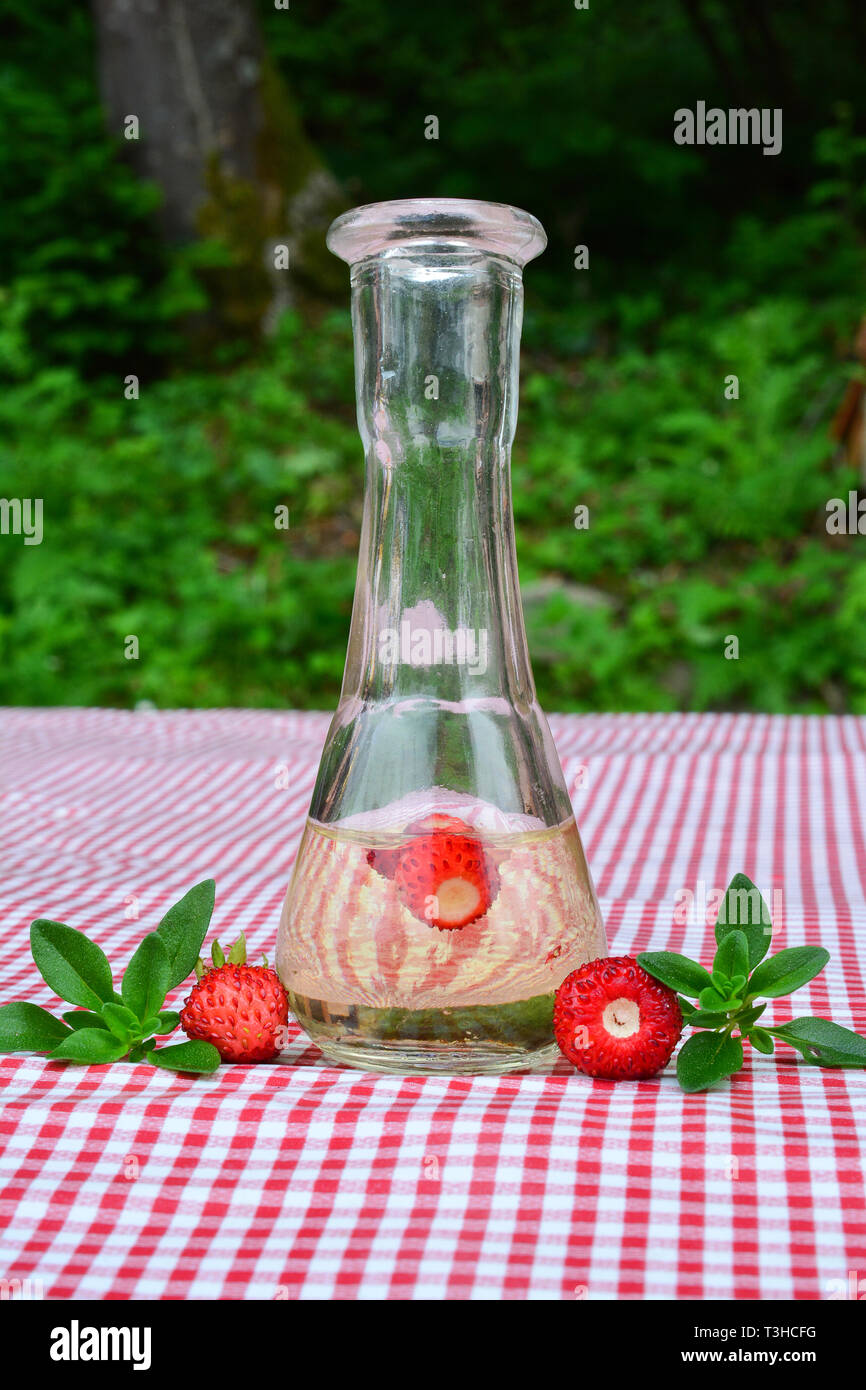 Fatta in Casa grappa aromatizzata con fresche fragole selvatiche e timo selvatico in un bicchiere piccolo su rosso e bianco tovaglia, vista laterale Foto Stock