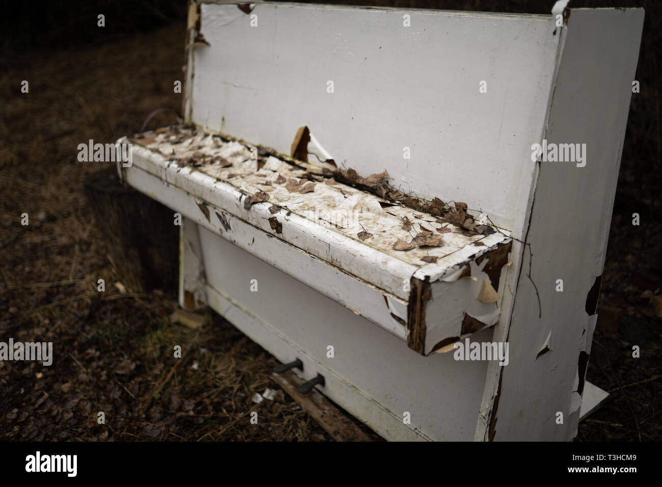 Vecchio vintage white pianoforte in una foresta Foto Stock