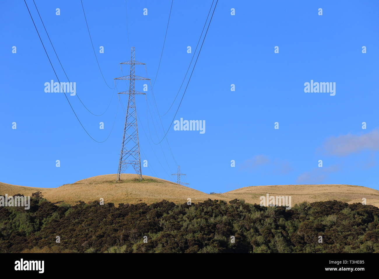 Le linee elettriche in prossimità Balclutha, Sud Otago, Nuova Zelanda Foto Stock