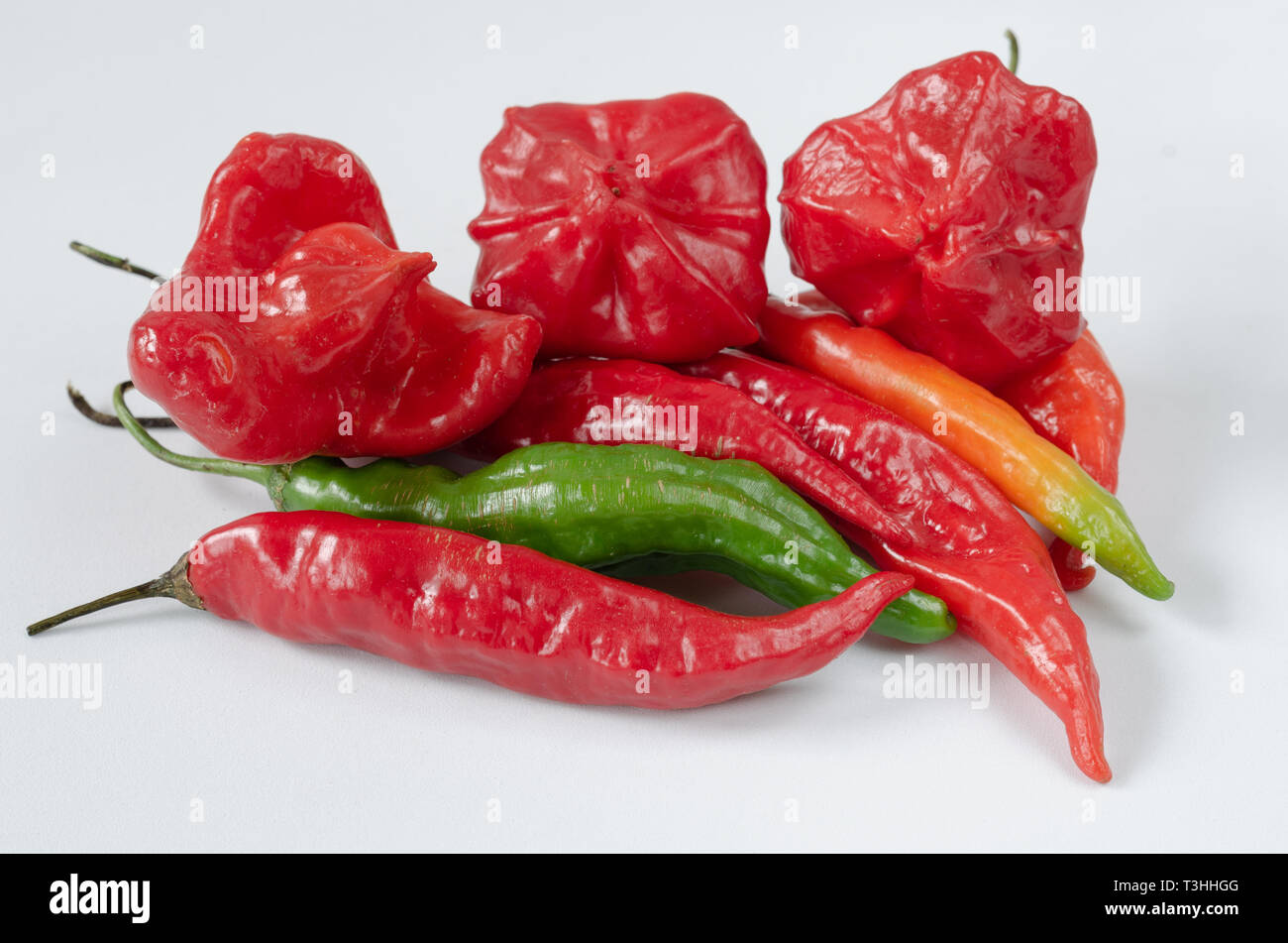 Gruppo di peperoncini rossi di vario genere su sfondo bianco. Pepe. Peperoncino. Foto Stock