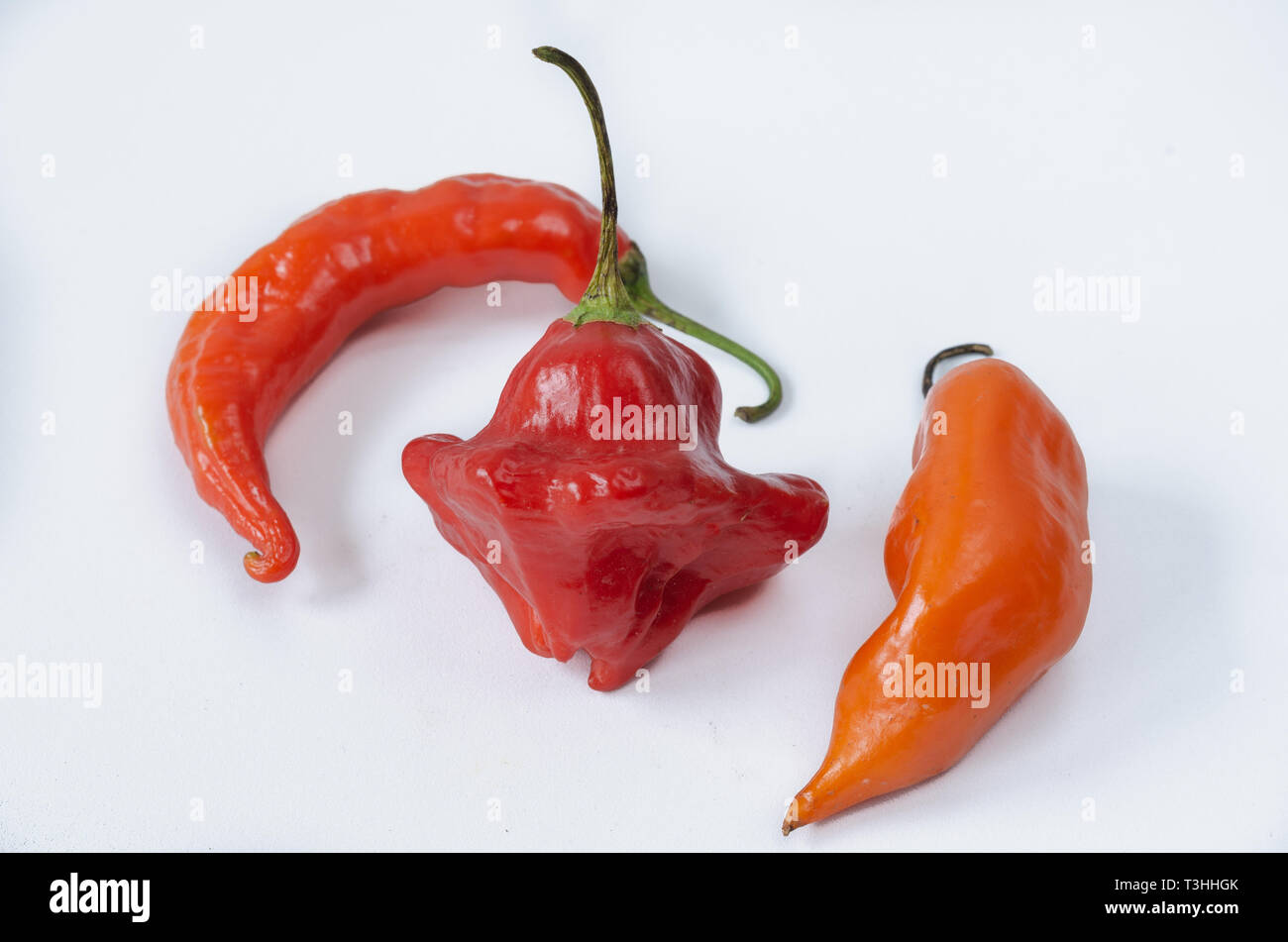 Tre chili peppers su sfondo bianco. Pepe. Peperoncino. Foto Stock