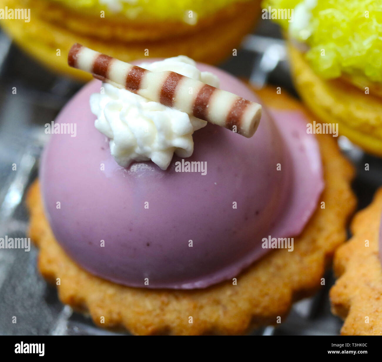 Il dessert antipasti con lavanda coperti gelati su un wafer di cookie Foto Stock