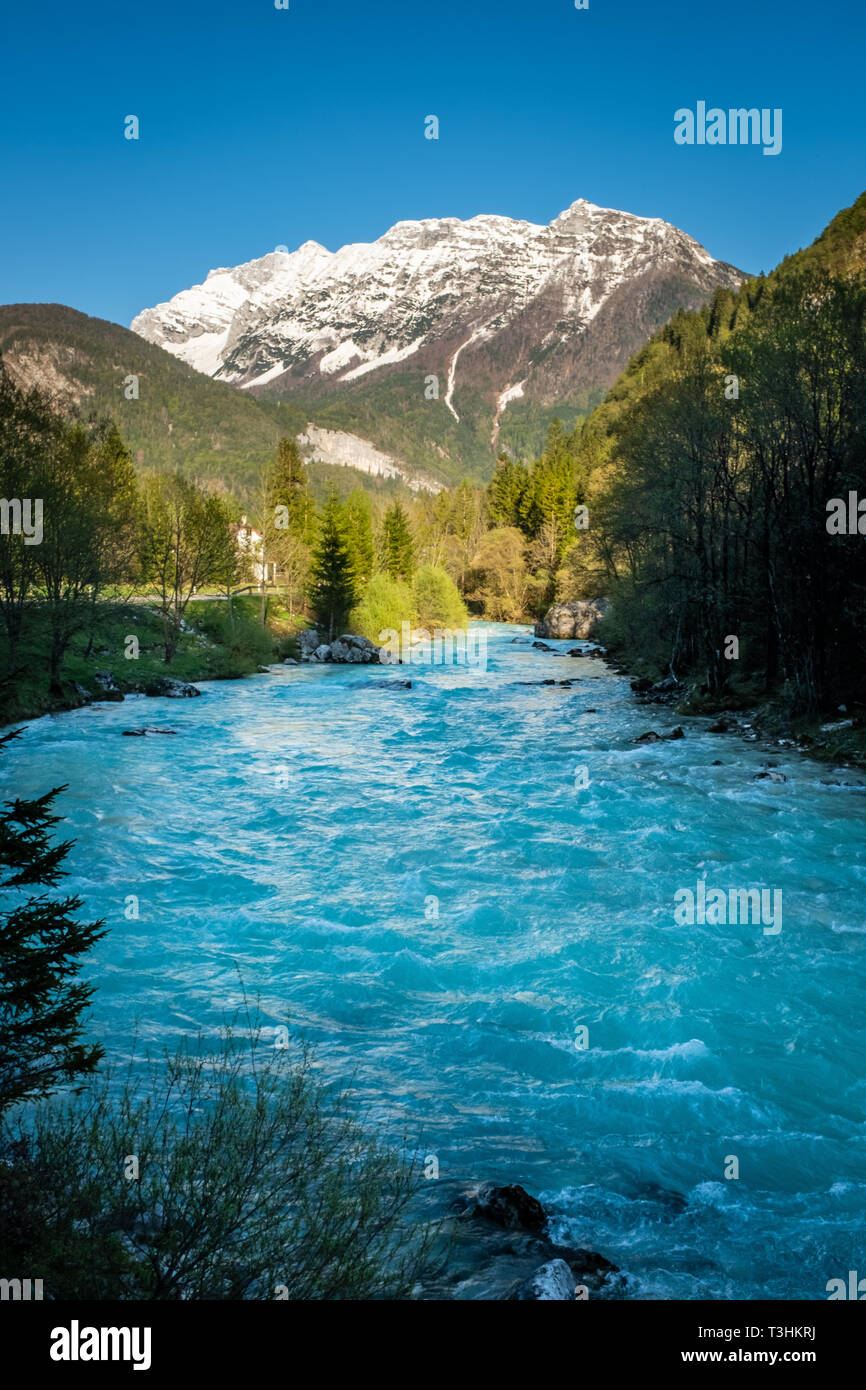 Vista dal fiume Soca attraverso la valle di montagna nel Parco Nazionale del Triglav nelle Alpi Giulie in Slovenia in primavera Foto Stock