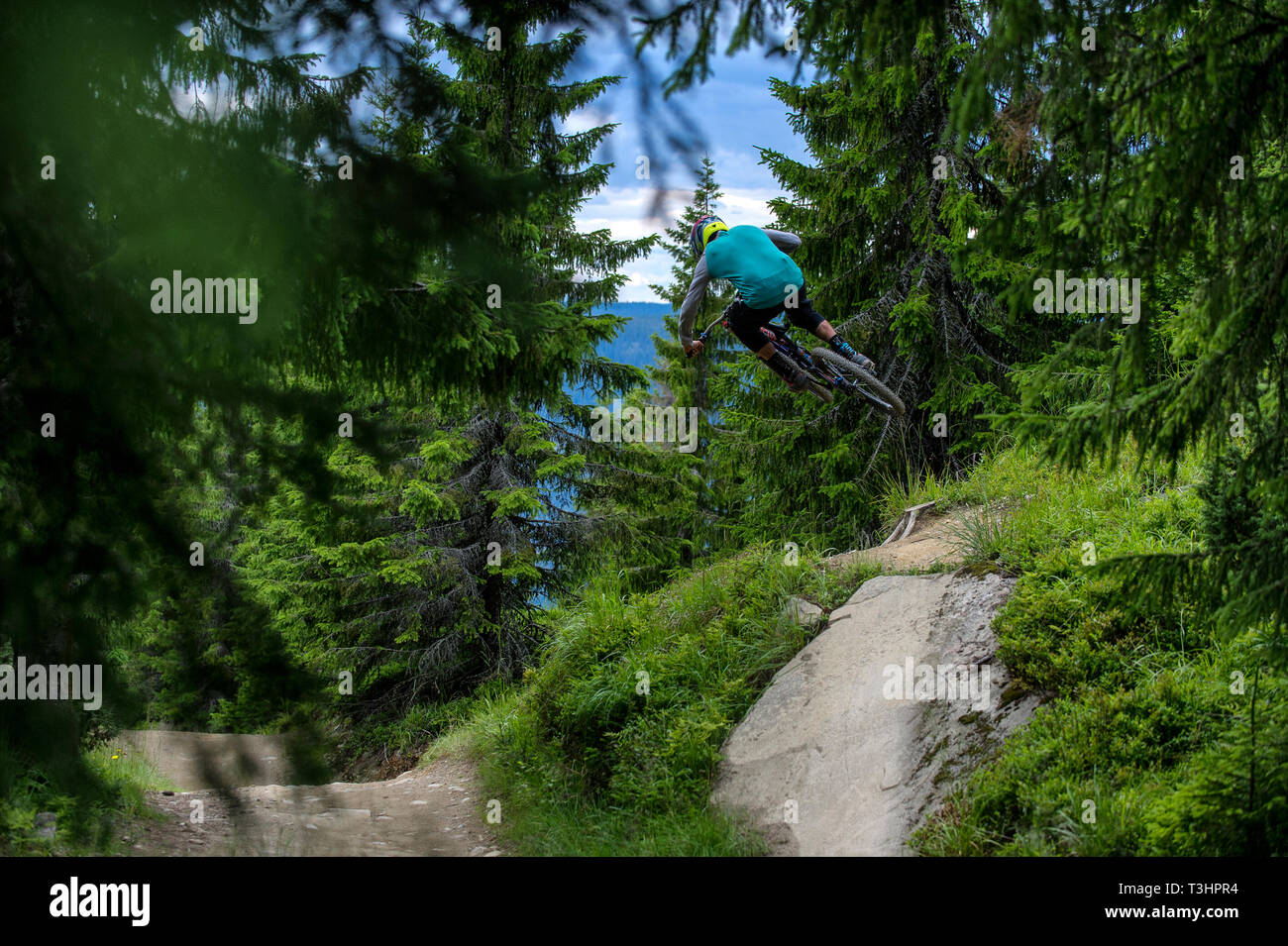 Un uomo in sella ad una mountain bike colpisce un salto nella Hafjell Bike Park in Norvegia. Foto Stock