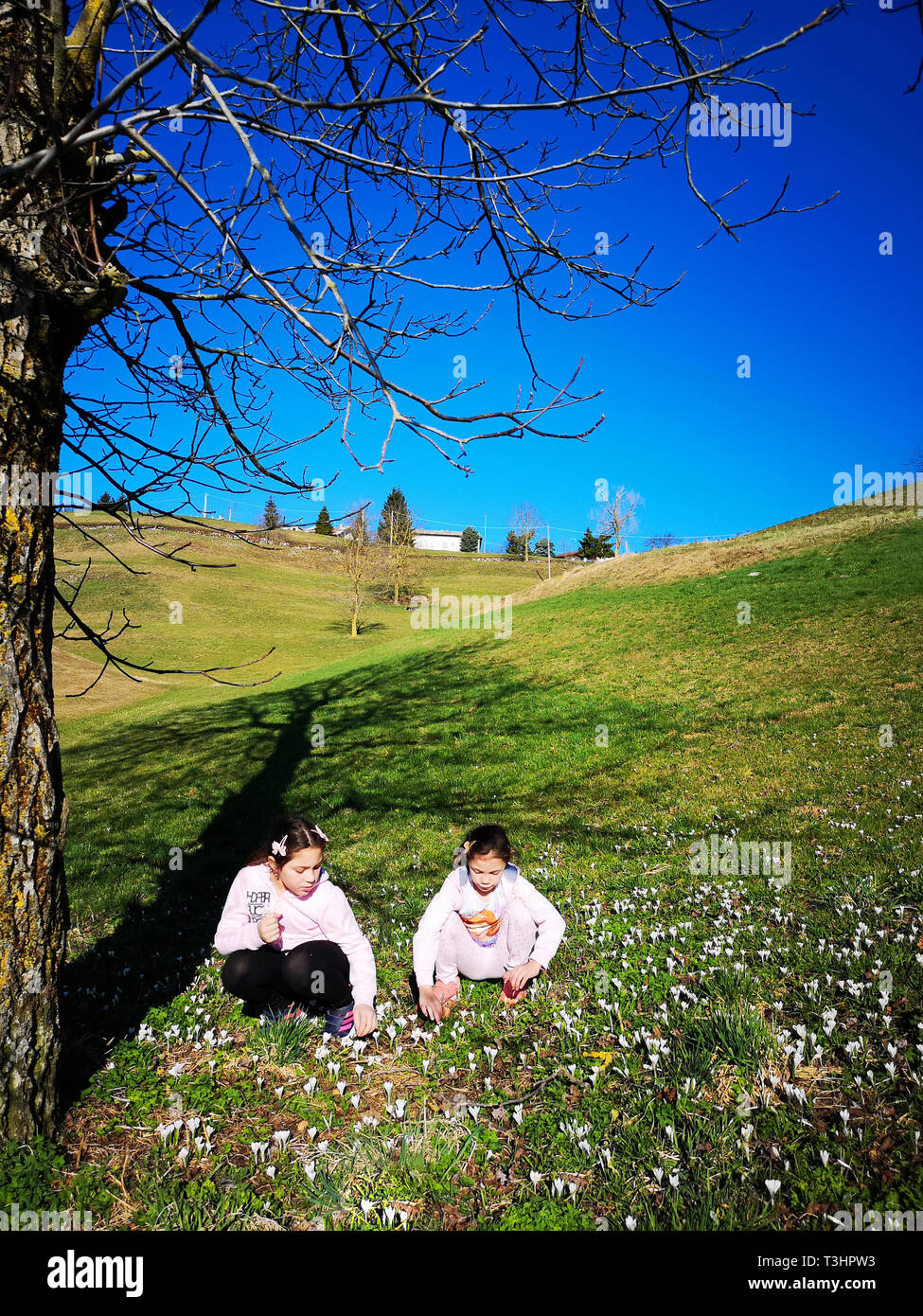Due bambine raccogliere fiori di primavera su un prato verde. Foto Stock