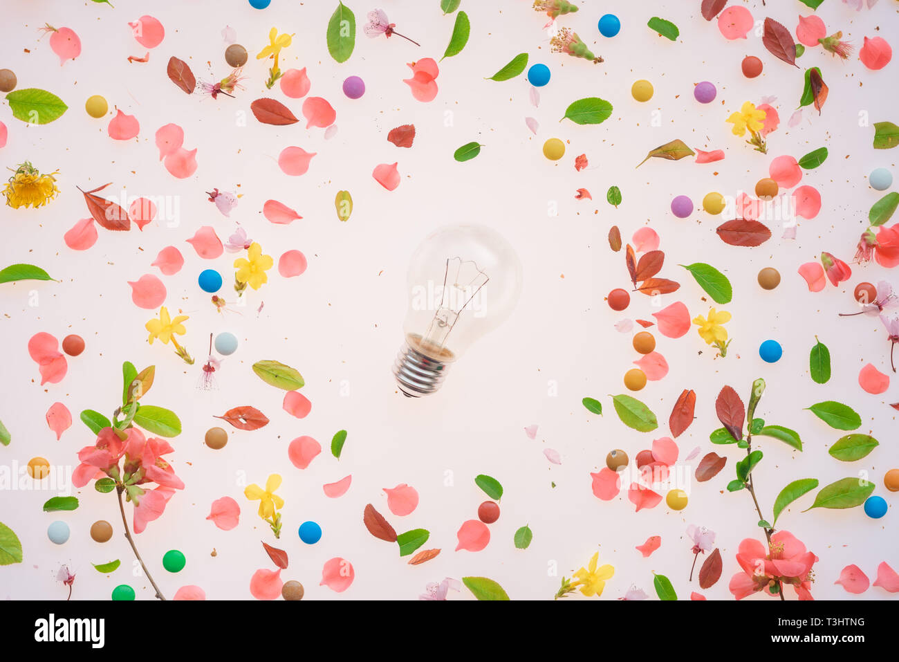Il pensiero creativo lampadina concetto con primavera composizioni floreali, vista superiore piana dei laici di petali di fiori e foglie Foto Stock