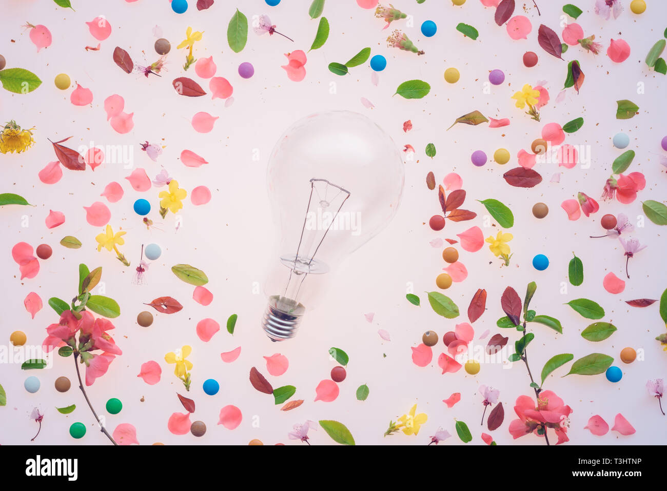 Il pensiero creativo lampadina concetto con primavera composizioni floreali, vista superiore piana dei laici di petali di fiori e foglie Foto Stock