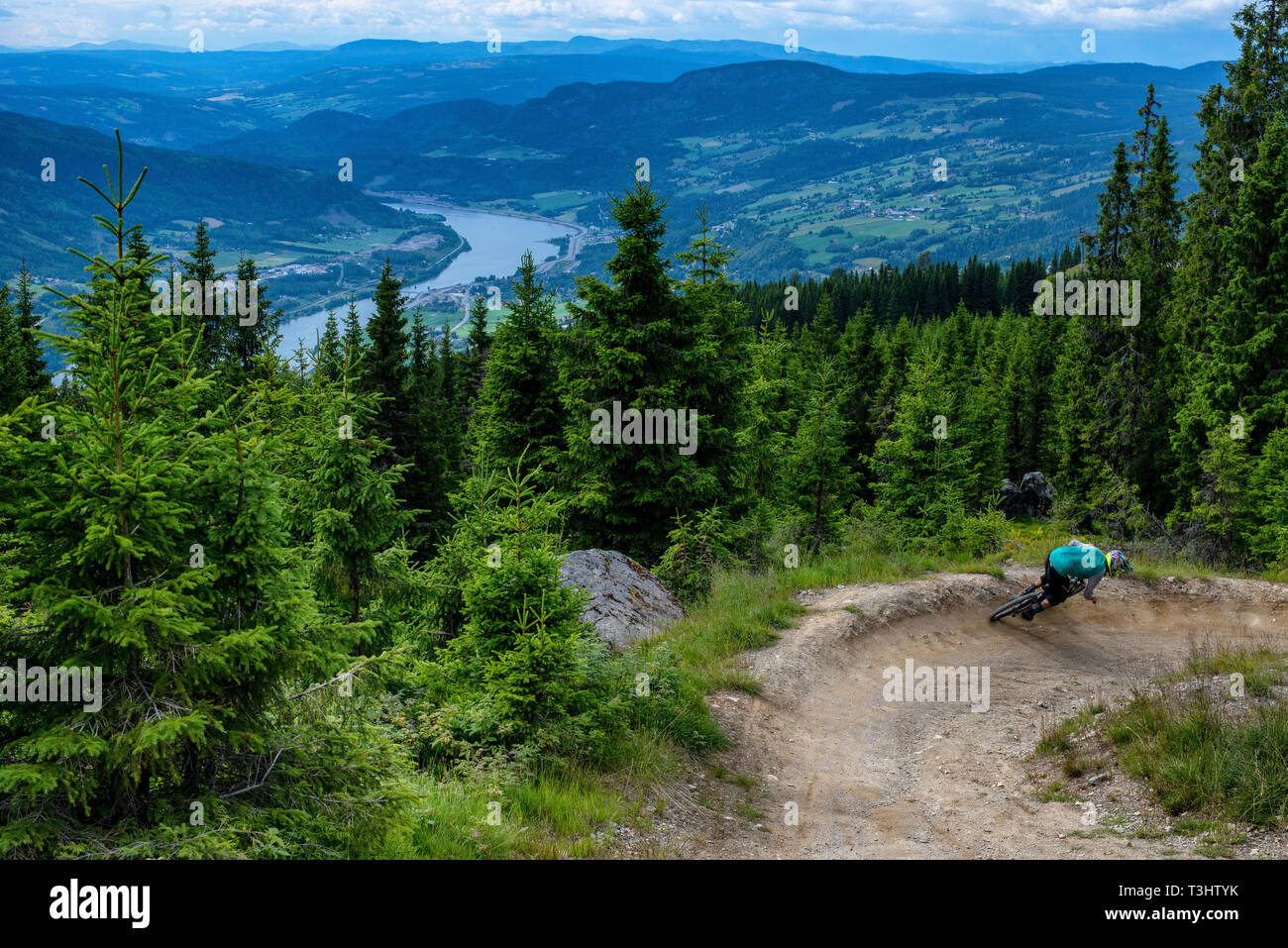 Un uomo che cavalca una discesa in mountain bike su un sentiero a Hafjell Bike Park in Norvegia. Foto Stock
