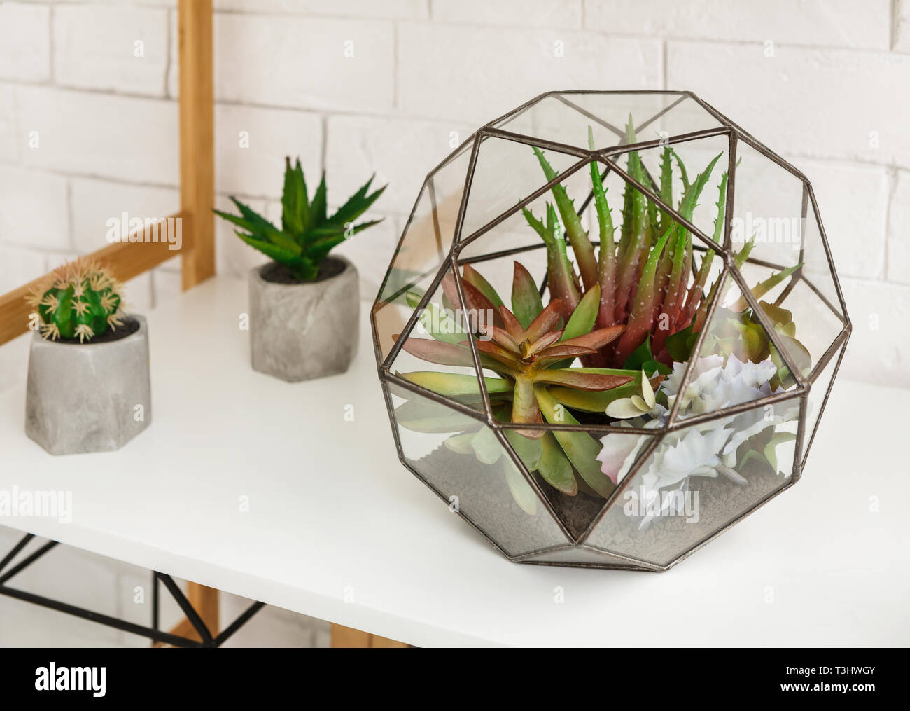 Florarium geometrico con le piante succulente e cactus di piccole dimensioni in vasi Foto Stock