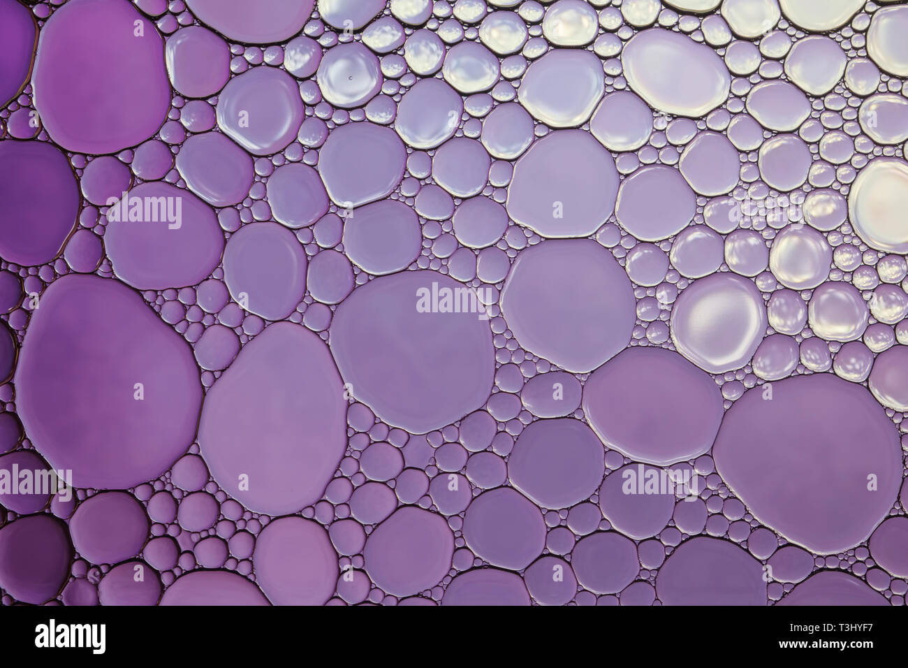 Viola astratto di gocce di acqua dello sfondo. Foto Stock