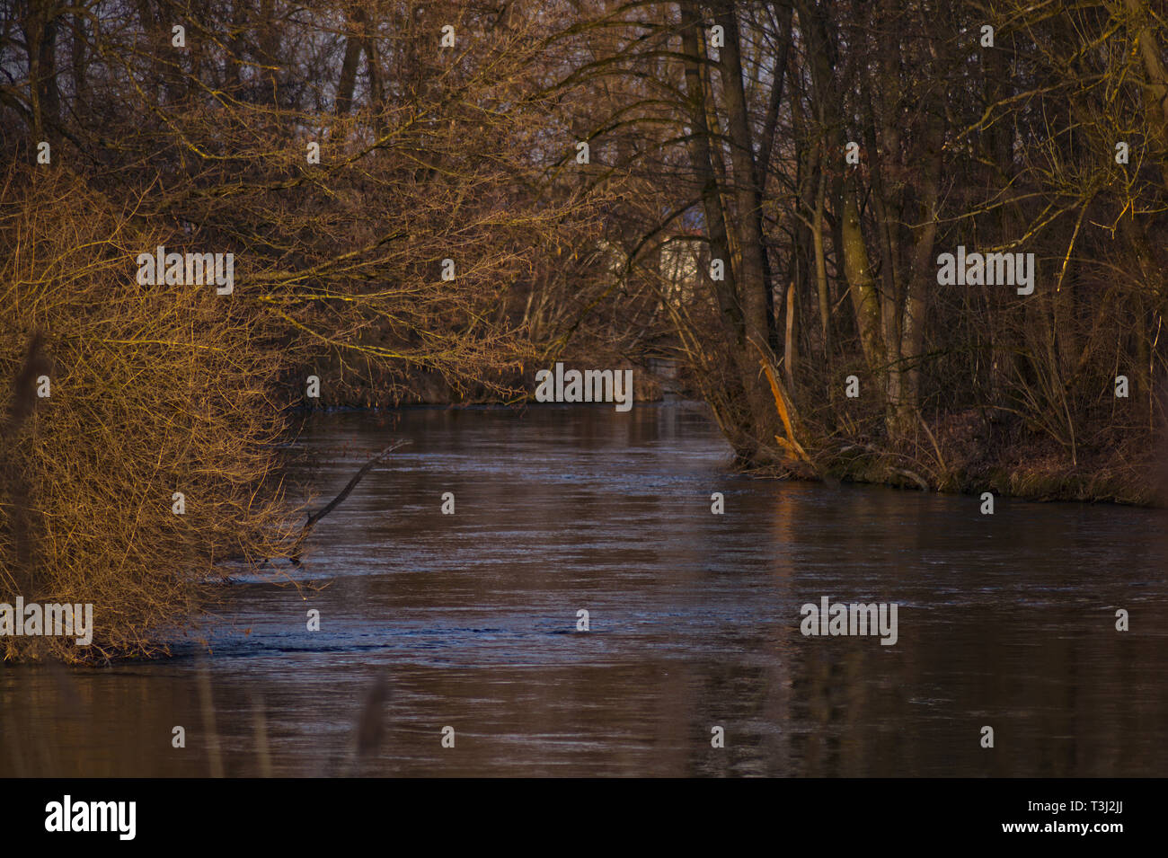 A piedi Riverside Foto Stock