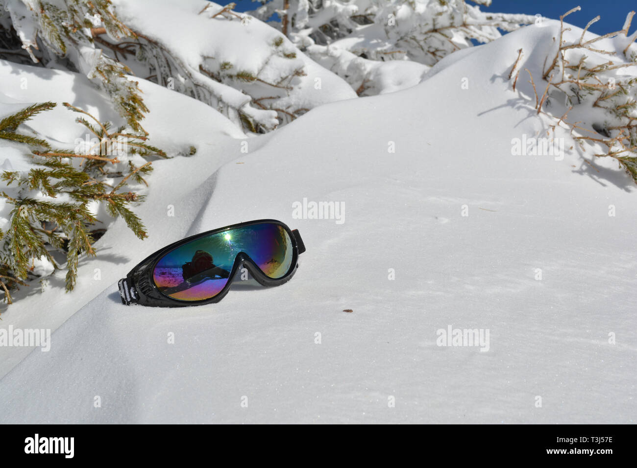 Occhiali da sole sulla neve sotto Abete rami coperti di neve Foto Stock
