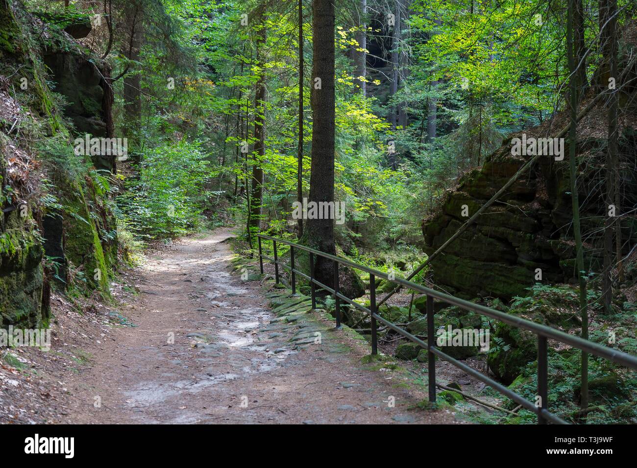 Malerweg Hiking trail in Uttewalder Grund tra Uttewalde e la città di Wehlen, Svizzera Sassone, Bassa Sassonia, Germania Foto Stock