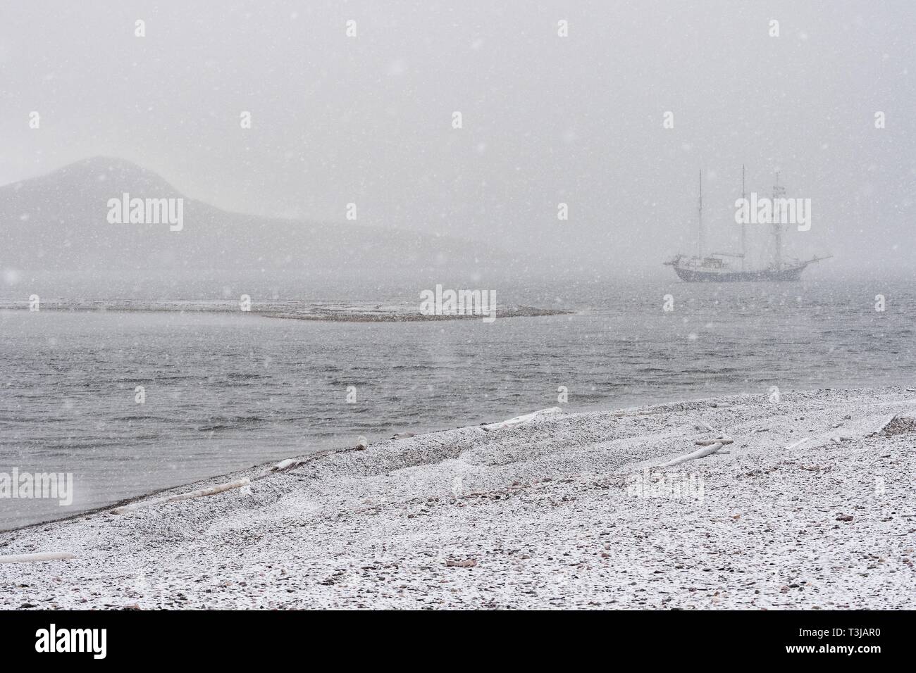 Barkentine Antigua in Snow Drift, Snaddvika, Murchisonfjord, Nordaustland, Spitsbergen arcipelago Svalbard e Jan Mayen, Norvegia Foto Stock