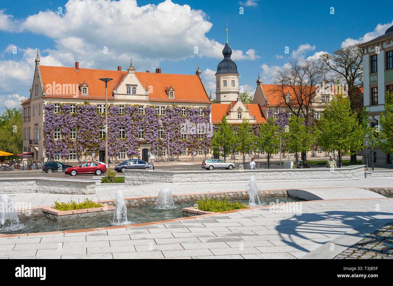 Rathausplatz con il municipio, fioritura (Glicine Wisteria), giochi d'acqua, Riesa, Sassonia, Germania Foto Stock